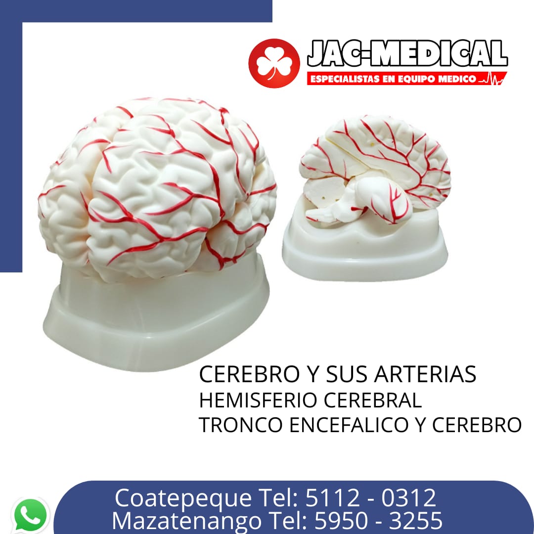 Esperando imagen del producto